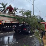 uma árvore tombou na Rodovia Duca Serra, na Zona Oeste da cidade - Foto: Crystofher Andrade/GEA